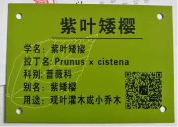 C:\Users\Administrator\Documents\DD\DƬ1.png